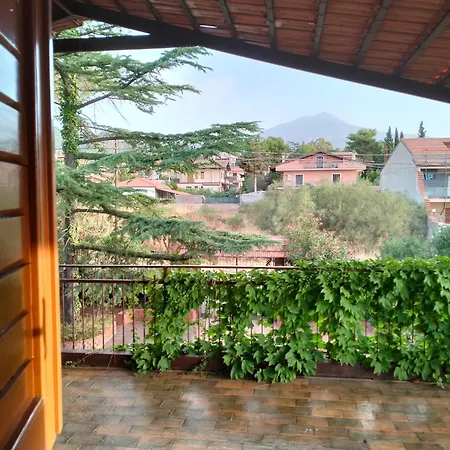 Flori Villa Mascalucia